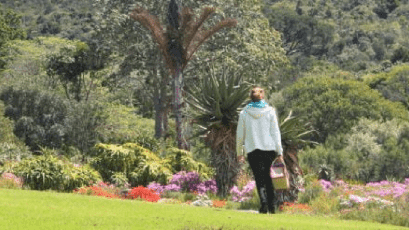 خودسازیِ ذهنی